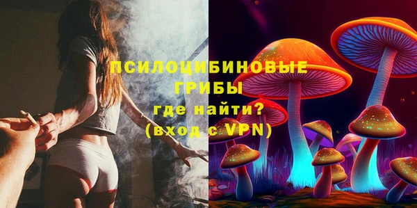 дмт Балахна