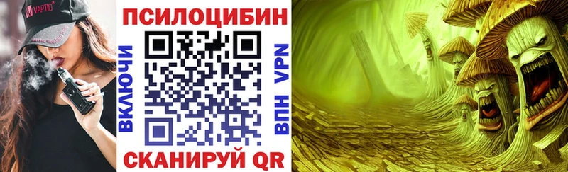 Купить закладки  Нязепетровск  Псилоцибиновые грибы ЛСД 